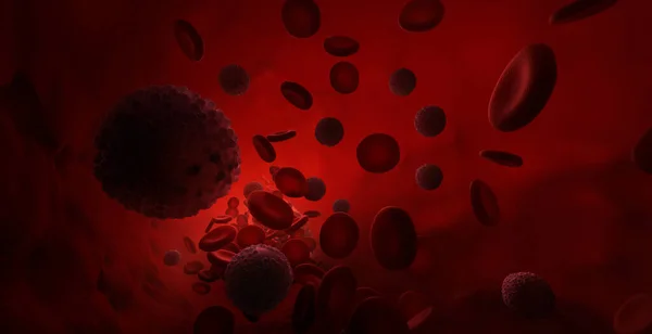 红血球和白血球 免版税图库照片