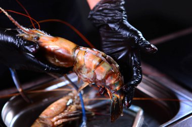 The cook rips open the shell of a giant freshwater shrimp with scissors. Unrecognizable person. Hands in protective gloves. Cooking concept. Photo on a black background. Top view. clipart