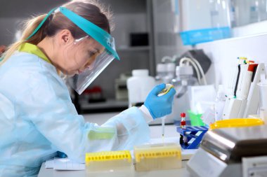 Klinik ve tanı laboratuarında araştırma. Kişinin odağını yitirmiş. Ellerinizi koruyucu eldivenlere koyun. Sağlık hizmetleri kavramı. Aşıların test ve geliştirilmesi.