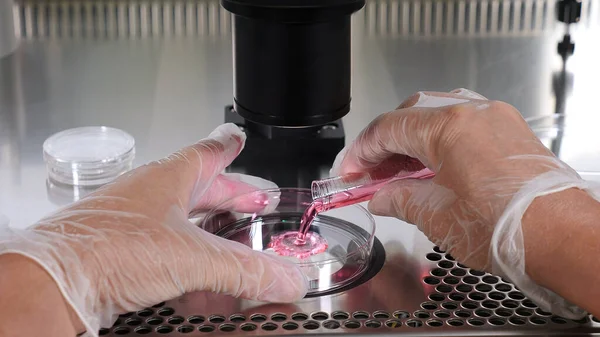 Tüp bebek prosedürüne yakın çekim. Koruyucu eldiven takan bir embriyolog plastikten deney tüpünü petri kabına damlatıyor. Üreme teknolojileri. Çocuk sahibi olmakla ilgili sorunlar. Suni döllenme.