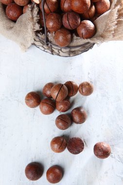 Beyaz arka planda metal bir sepetin içinde Macadamia fındıkları. Doğal protein ve antioksidan. Dikey fotoğraf. Üst görünüm.