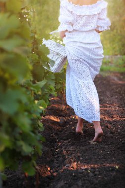 Genç bir üzüm bağının arka planında beyaz elbiseli bir kadın figürü. Beyaz elbiseler. Dikey fotoğraf. Tanımlanamayan bir kişi. Geçmişe bakılacak olursa. Kırsal kesim..