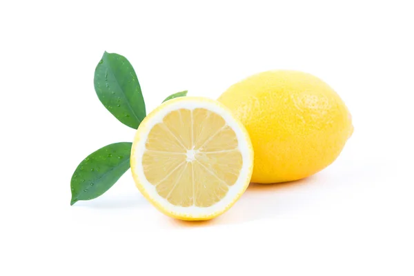 Taze limon yaprakları ile — Stok fotoğraf