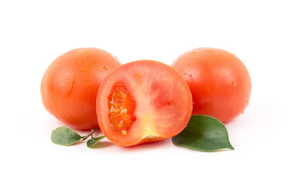 Pomodori freschi con foglie — Foto Stock