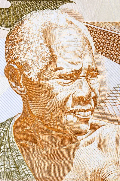 가나의 노인의 초상화 — 스톡 사진