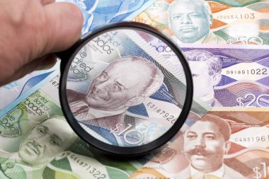 Büyüteçteki Barbadoslu dolar.