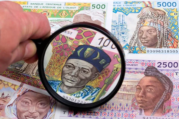 Westafrikanisches Geld Unter Der Lupe — Stockfoto