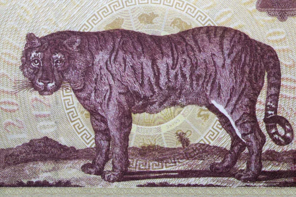 Tiger Aus Chinesischem Geld — Stockfoto