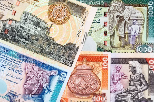 古斯里兰卡货币 — 图库照片