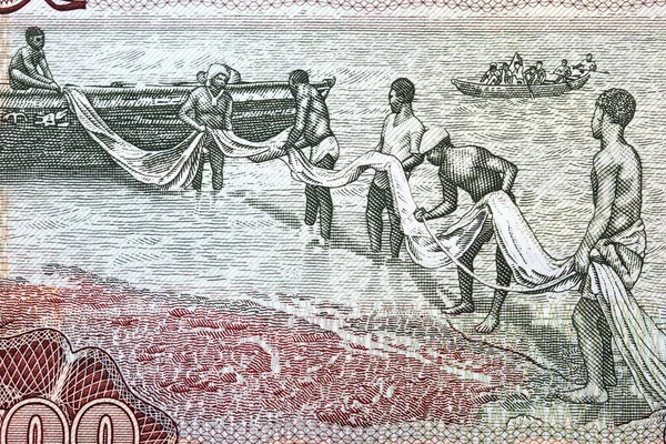 가나의 화폐를 사용하는 어부들 — 스톡 사진
