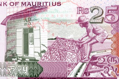 Ev cephesi ve Mauritian parası işçisi.