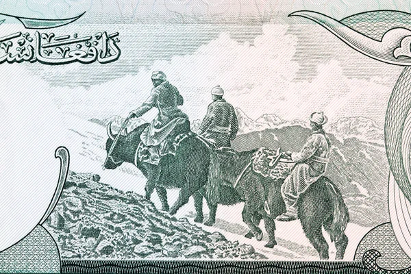 Men riding on yaks from old Afghani money