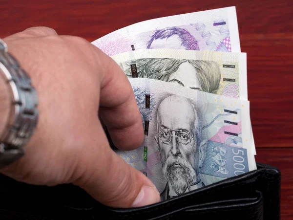 Çek parası - Koruna siyah cüzdanda