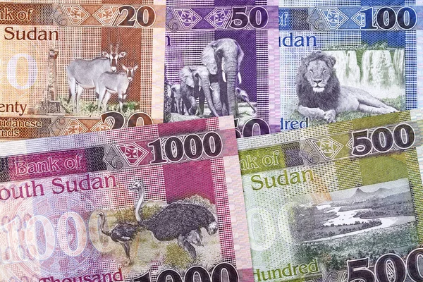 Zuid Soedanees Geld Een Zakelijke Achtergrond Met Nieuwe Series Bankbiljetten — Stockfoto
