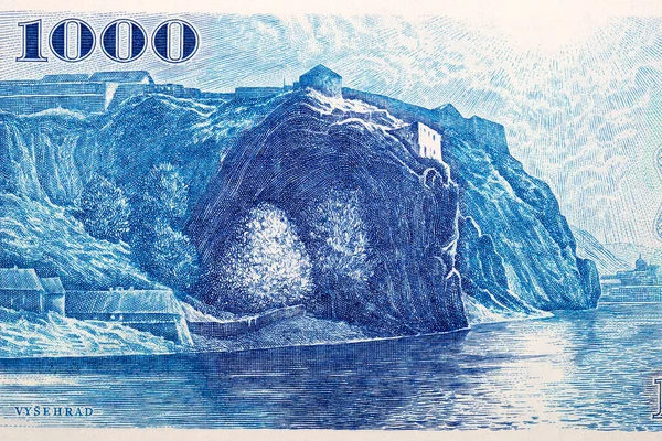 View Vltava Vysehrad Czech Money — стоковое фото