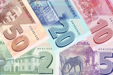 Zimbabve parası - Dolar, yeni bir dizi
