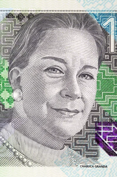 チャブカ グランダ ペルーのお金の肖像画 — ストック写真