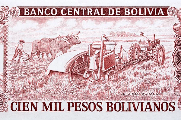 Landbouwscene Uit Oud Boliviaans Geld — Stockfoto