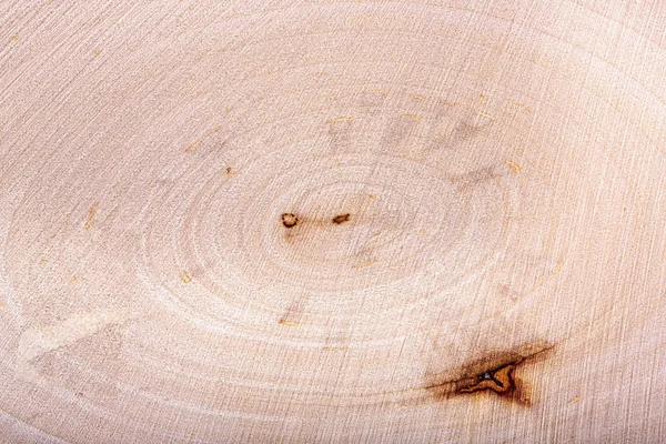 Querschnitt eines Baumes, ein Hintergrund — Stockfoto