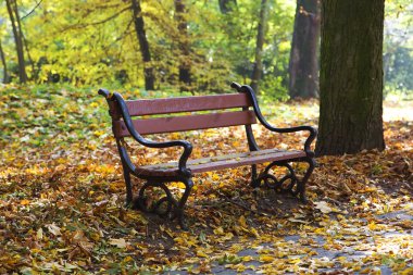 Sonbahar sahne ahşap Bank