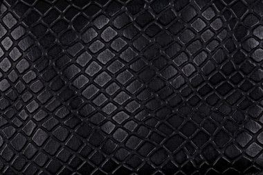 siyah deri, bir arka plan