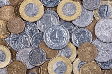 Lehçe sikke, bir arka plan