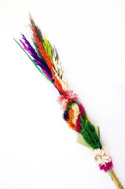 Paskalya palm beyaz zemin üzerine