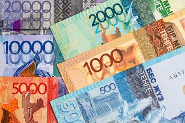 Kazakistan parası - bir iş geçmişi savunmak