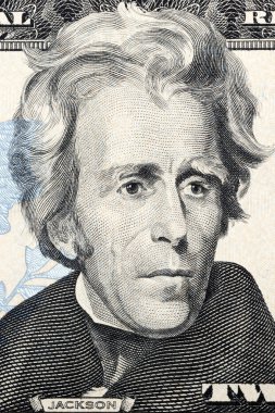Andrew Jackson portresi yirmi dolar üzerinde