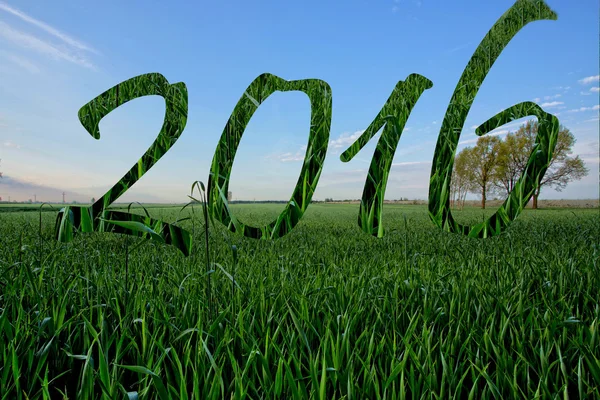 Happy New year 2016 — Stock Photo, Image