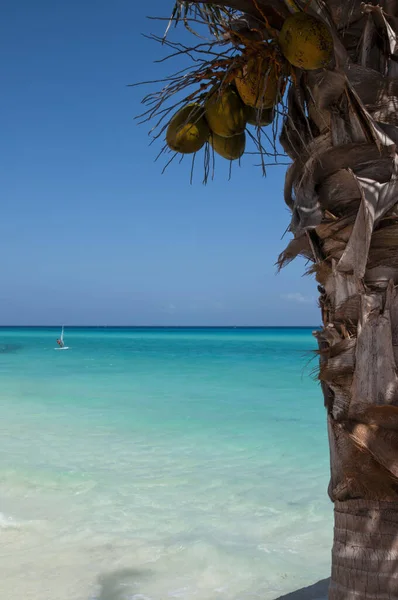 Ακράτητη Φυσική Παραλία Στην Άκρη Του Ωκεανού Της Καραϊβικής Κοντά — Φωτογραφία Αρχείου