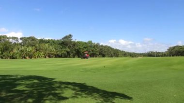 Bahçıvan mükemmel golf sahasında yeşil çimenleri kesiyor. Yeşil çimlerin üzerinde çim biçme makinesi olan bir golf oyunu için güzel bir manzara. Playa del Carmen, Meksika 'da golf sahası