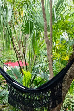 Meksika 'daki tropik bir bahçede iki ağaca asılı siyah bir hamak. Arka planda egzotik bitkiler ve ağaçlar var. Seyahat ve macera kavramları