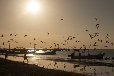 Gün batımında Meksika 'da Holbox Adası' ndaki bir plajın silueti. Tekneler, kuşlar ve tanınmayan insanlarla birlikte. Seyahat ve tatil kavramı
