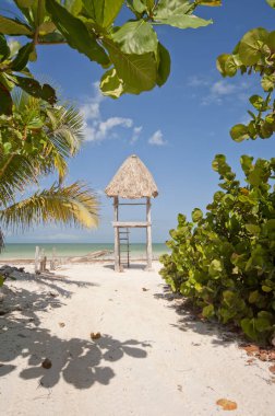 Meksika 'da Holbox Adası' nda beyaz kumlu tropikal bir sahilde Rustik ahşap bir cankurtaran kulesi. Arka planda ağaçlar ve Karayip okyanusu var..
