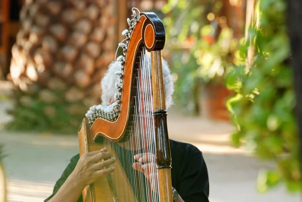 Şili 'de açık havada arp çalan bir müzisyenin yakın çekimi. Seçici Odaklanma