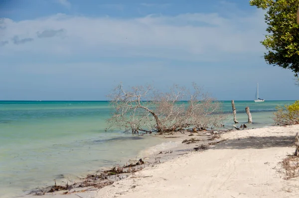 Öde Tropisk Strand Med Vit Sand Mexikanska Karibien Med Segelbåt — Stockfoto