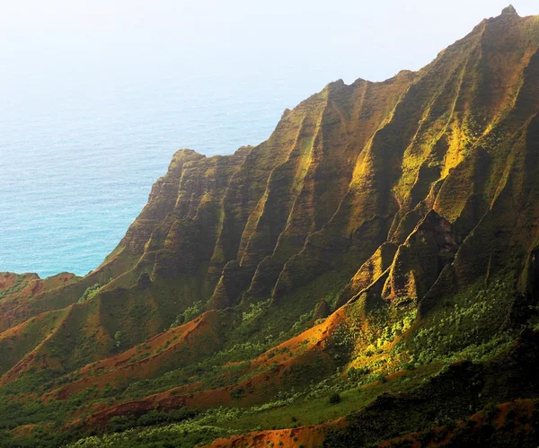 Tüm ihtişam dünya