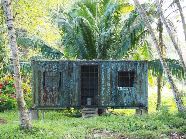 Caribbean beach house near Manzanillo, Costa Rica — Stock Photo, Image