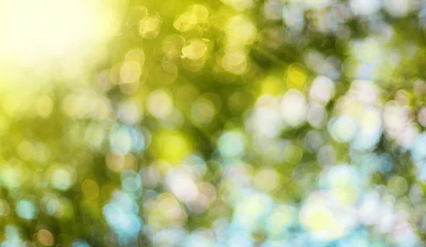 Nature blurred background with bokeh and sun rays Royalty Free Stock Images