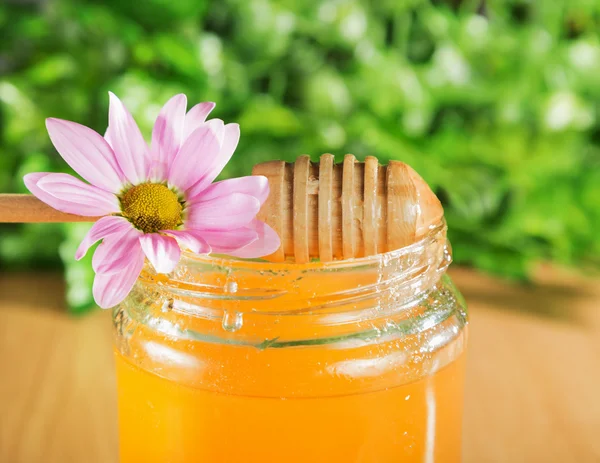 Miel de flor natural — Foto de Stock