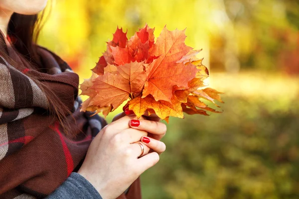 Bright bouquet of autumn maple leaves in female hands — Stock Photo, Image