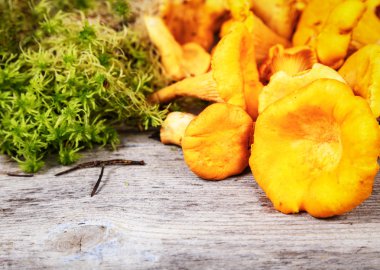chanterelles ve moss bir ahşap yüzeye