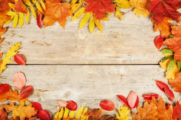 Otoño brillante hojas superficie de madera vieja con espacio de copia —  Fotos de Stock