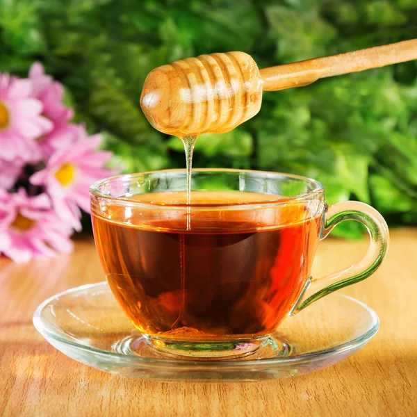 El té útil con la miel sobre el fondo de la naturaleza — Foto de Stock