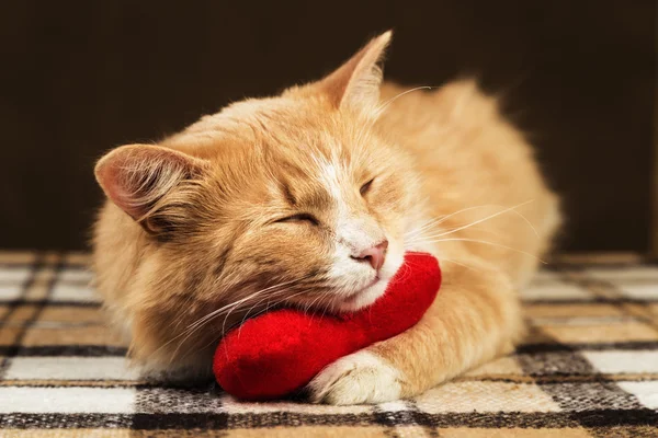 Piros bolyhos macska alszik átölelve puha plüss szív játék — Stock Fotó