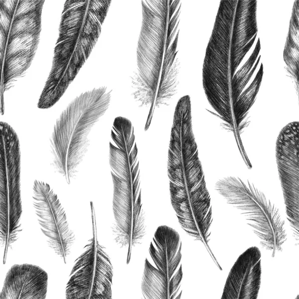 Hand drawn fashion seamless pattern with feathers. Vintage background — Stock Photo, Image