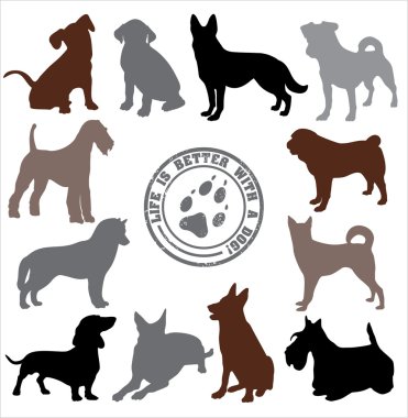 Köpekler seti