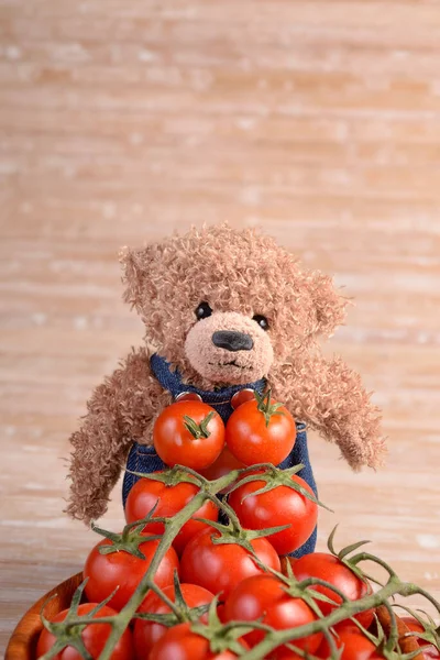 Cute Teddy Bear Jeans Overall Standing Pile Vine Tomatoes Structured — Fotografia de Stock