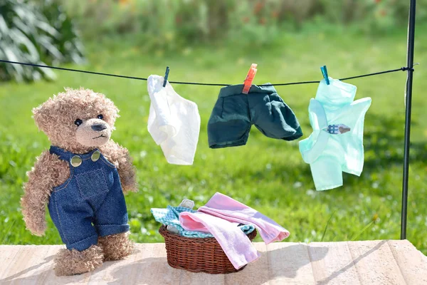 A Teddy bear wearing a jeans overall is hanging laundry with pegs on a washing line. A laundry basket filled with laundry. Green vegetation in the background. Copy space.